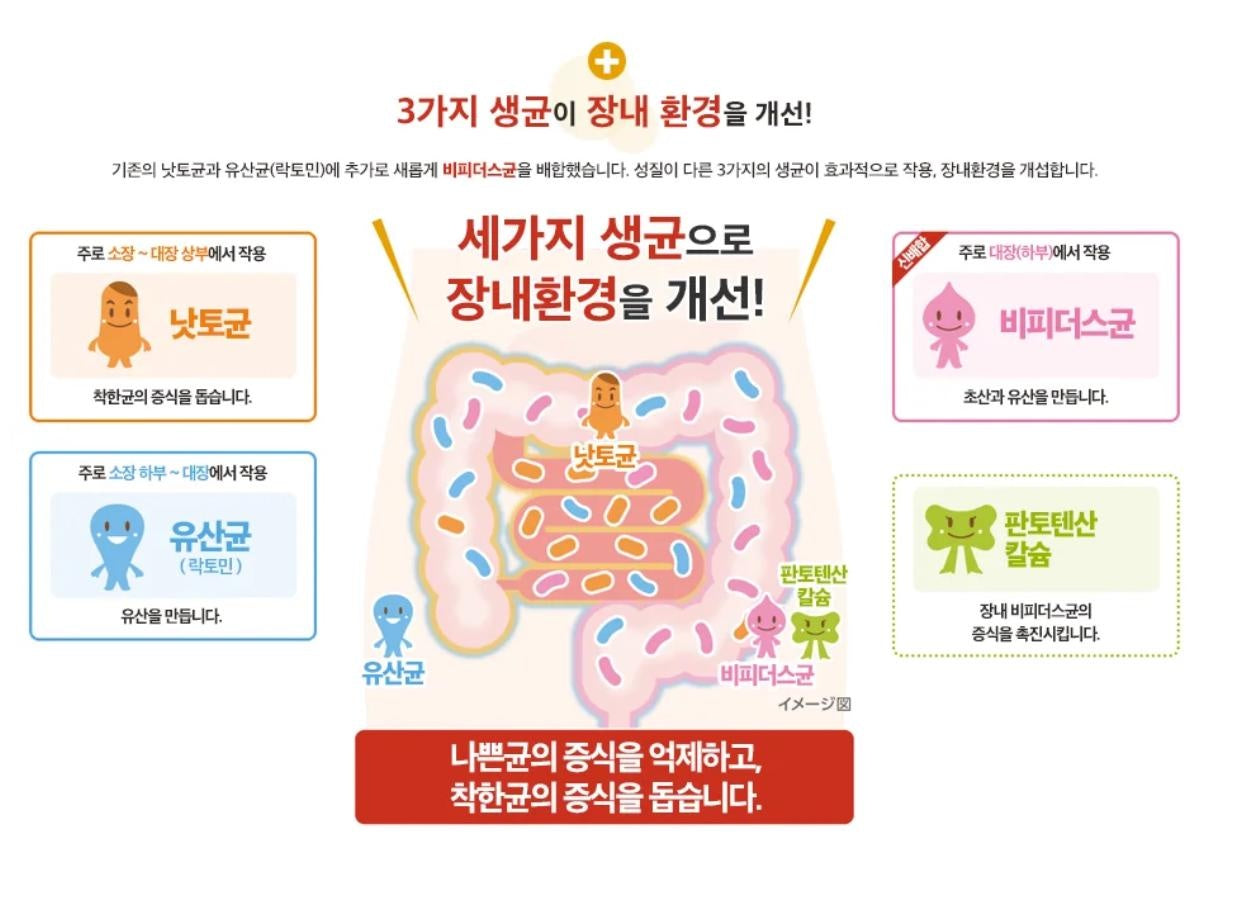 [JP] 더가드 코와 정장정 알파3 550정 변비 가스 소화불량