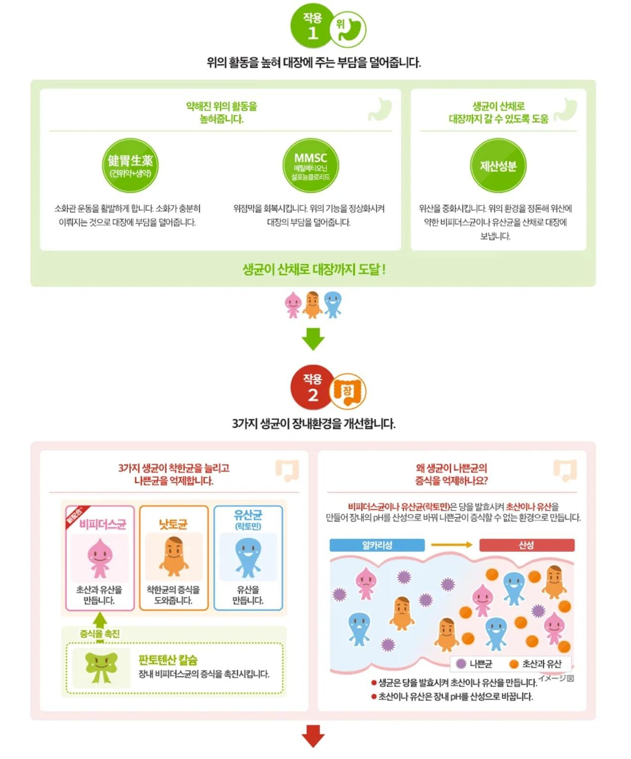 [JP] 방풍통성산 안라비리 골드Z 5T 450정 6000mg 복부 지방분해 한방 다이어트 보조제