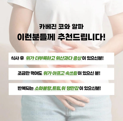 [JP] 위장 건강 일본 국민 위장약 카베진 알파+ 100정 / 300정