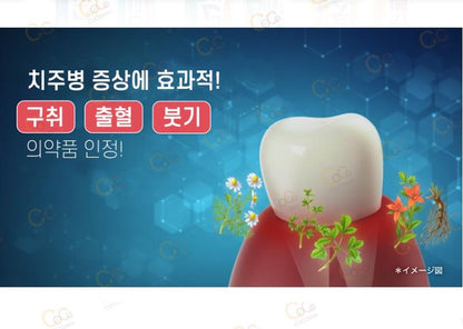 [JP] 일본 아세스 치약 오리지날 / 민트 / EX 치주병 완화 구취 출혈 붓기