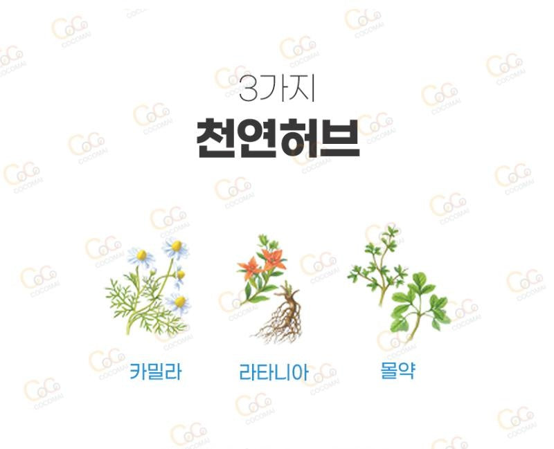 [JP] 일본 아세스 치약 오리지날 / 민트 / EX 치주병 완화 구취 출혈 붓기