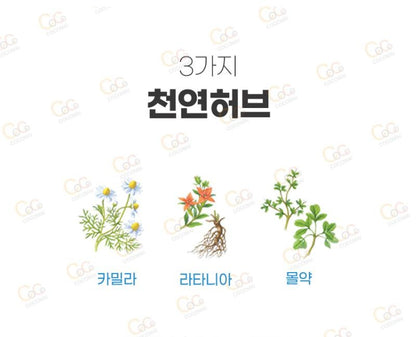 [JP] 일본 아세스 치약 오리지날 / 민트 / EX 치주병 완화 구취 출혈 붓기