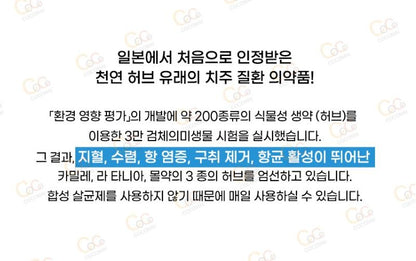 [JP] 일본 아세스 치약 오리지날 / 민트 / EX 치주병 완화 구취 출혈 붓기