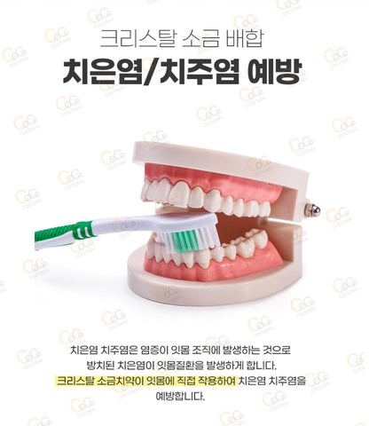 [JP] 일본 약용 메디카 선스타 소금 알갱이 치약 170g 치주염/치은염 예방 비타민 E함유 크리스탈 소금 배합