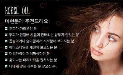 [JP] 쿠마노 마유 논 실리콘 샴푸600ml 2통 / 컨디셔너600ml 2통 / 바디솝600ml 2통 / 혼합구성 세트