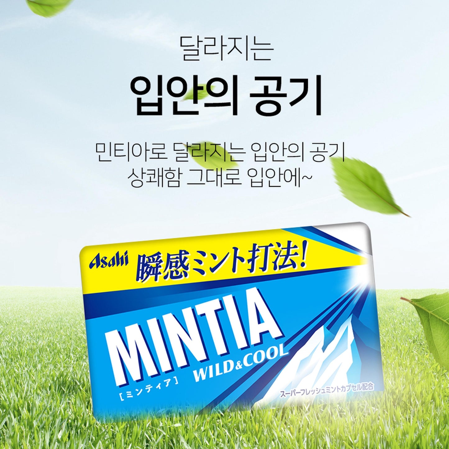 [JP] 아사히 민티아 브리즈 프레쉬 6종, 3개/6개/9개, 1세트 /신규/