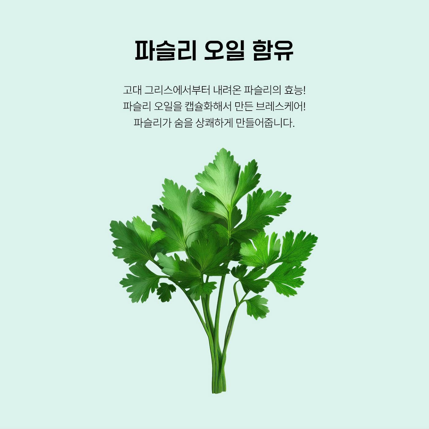 [JP] 고바야시 브레스케어 50정, 민트/레몬/피치