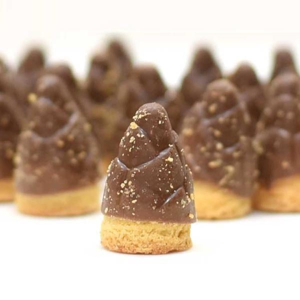 [JP] 메이지 일본 죽순과자 타케노코노사토 초코 / 딸기&쇼콜라 / 키노코노야마 초코송이 3개 5개 세트판매 new