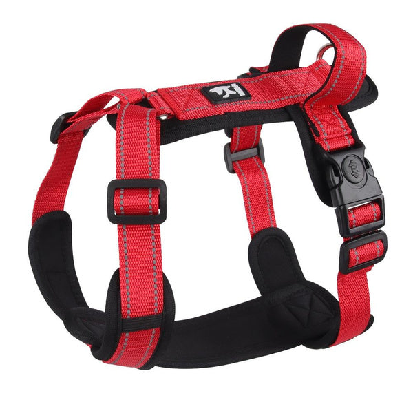 No-Pull Reflective Dog Harness and Leash Set, Escape-Proof Chest Strap for Small and Medium Dogs