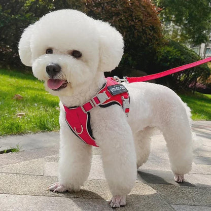 반사형 당김 방지 개 하네스(줄 세트 포함), 소형견용 탈출 방지 소프트 패딩 조끼