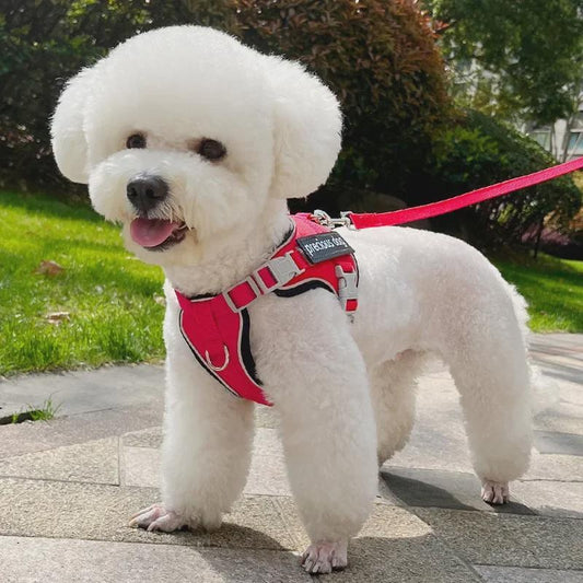 Reflective No-Pull Dog Harness with Leash Set, Escape-Proof Soft Padded Vest for Small Dogs