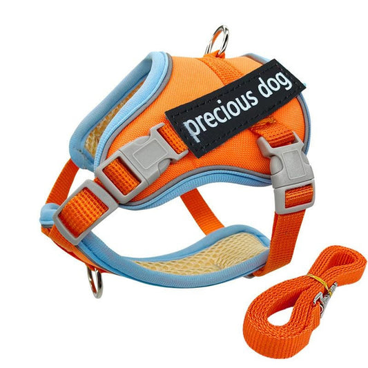 Reflective No-Pull Dog Harness with Leash Set, Escape-Proof Soft Padded Vest for Small Dogs