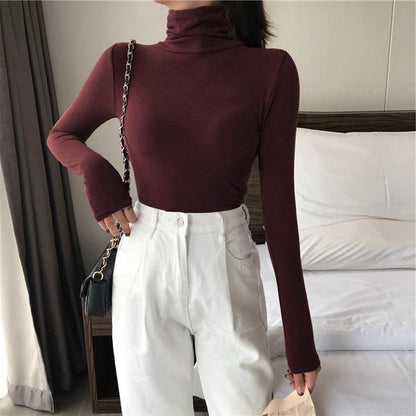 Women's High Neck Long Sleeve Turtleneck Top Slim Fit Basic Shirt