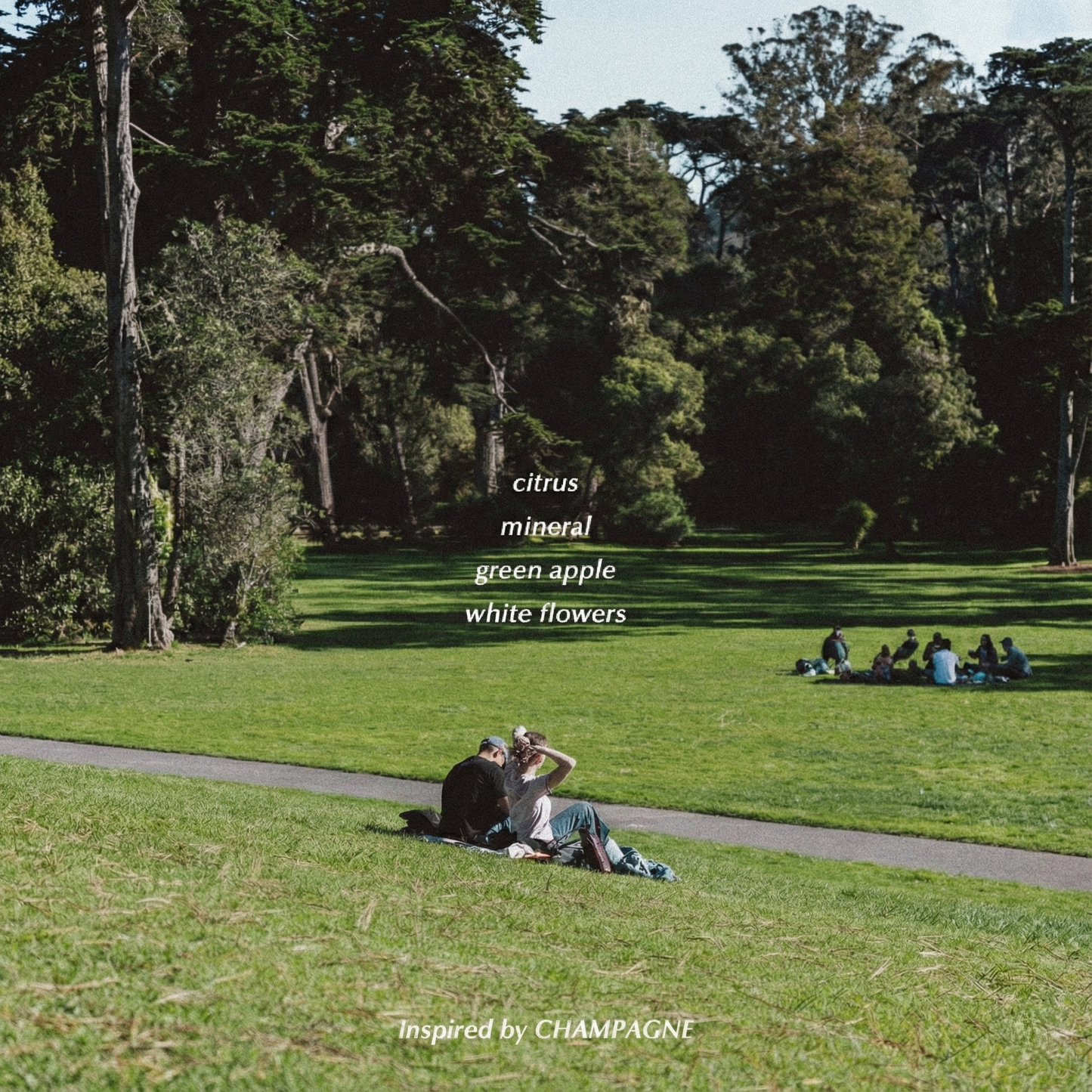 VINŌIR DECANTING SOAP SET