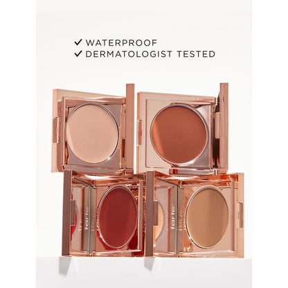 Tarte concealer paw brush - angled for seamless application